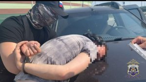 В Новгородской области осуждён наркокурьер из Пензы, перевозивший в машине свыше 10 кг «синтетики»